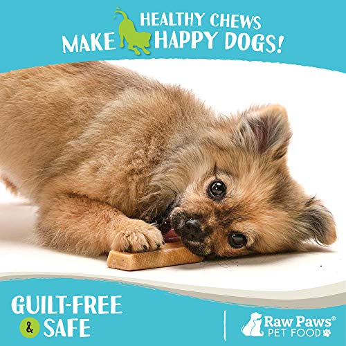 Raw Paws Small Yak Cheese Himalayan Dog Chews, 10 Pack Packed in USA