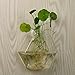 AWEVILIA Wall Hanging Plants Planter Terrariums Creative Fashion Glass Hexagon Shape Vase Home Decor Wall Plants Set of Two
