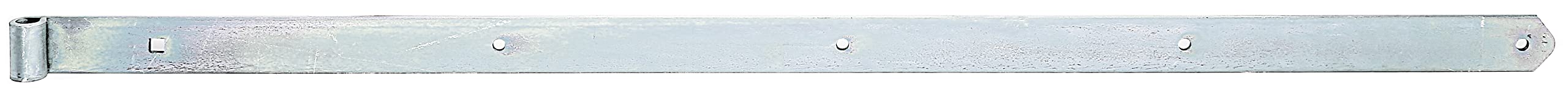 Alberts 314378 Shutter Hinge | Various Designs | Galvanised | Thick Layer Passivated | Roll Diameter 16 mm | Size 1155 x 45 mm