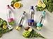 Ello Zest Glass Water Infuser with Leak-Proof Lid, 20 oz, Mint