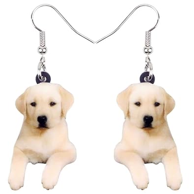 Amazoncom Labrador Retriever Lab Puppy Dog Acrylic Print