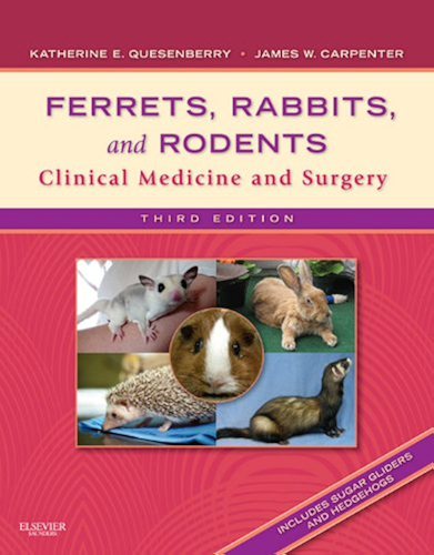 Download Ferrets, Rabbits and Rodents - E-Book: Clinical Medicine and Surgery (English Edition) PDF