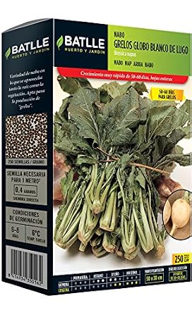 Semillas Batlle - Nabo Grelos Blanco De Lugo Caja 250G: Amazon.es ...