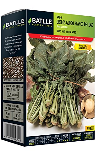 Semillas Batlle - Nabo Grelos Blanco De Lugo Caja 250G: Amazon.es ...