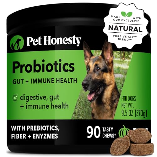 The Best Probiotic for Dogs in 2024 Dogtime