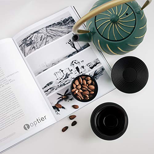 Tea Kettle, TOPTIER Japanese Cast Iron Teapot with Infuser, Stovetop