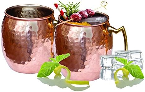 Dozenegg Stainless Steel Copper Moscow Mug 16 Oz Capacity Set of 2