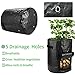 Futone Grow Bags, Potato Planter Bags, Planting PE Aeration Pots with Handles and Flap, Garden Bags for Vegetables, Tomatoes, Carrots, Onions (10 Gallons – 2 Pack – Black)thumb 3