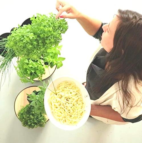 Citysens - Kit Huerto Urbano Vertical con Autorriego, Negro, 2 ...