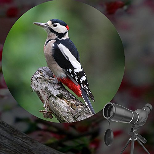 6 Spotting+Waterproof+Monocular+Telescope+Digiscoping