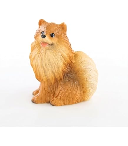 Amazon.com: WitnyStore ½ Inch Brown Crouch Pomeranian Dwarf Spitz