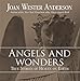 Angels and Wonders: True Stories of Heaven on Earth by Joan Wester Anderson