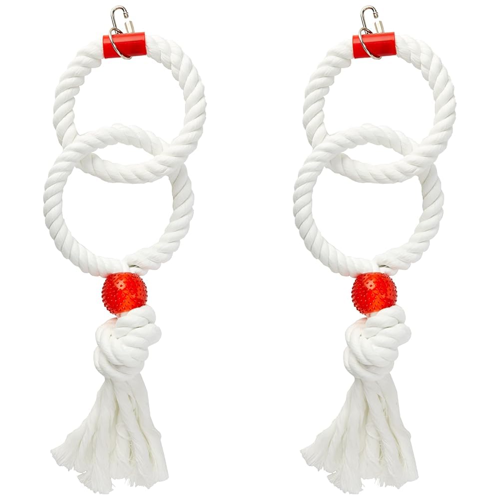 Rosewood Parrot Toy Twin Parrot Rings, Large,White (Pack of 2) — image 1