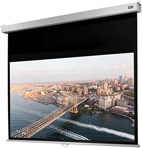 celexon Manual Professional Plus Home-Cinema-Projection-Screen - 220 x 137 cm - 16:10 - Gain 1.2 - Full-HD, 4K