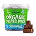 BodyMe Organic Vegan Protein Bites | Raw Chia Vanilla | 1.1lb 500g (12.5 x 1.41oz Servings) | with 3 Plant Proteins