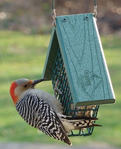 Audubon Going Green Suet Feeder Model  NAGGSUET