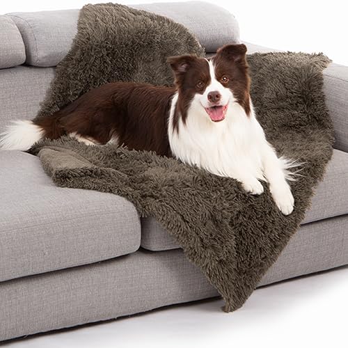 Gogobunny Waterproof Dog Blanket