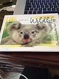 Front cover for the book Wildlife Australia by Steve Parish