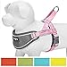 Blueberry Pet Soft & Comfy 3M Reflective Strips Padded Dog Harness Vest, Chest Girth 20.5