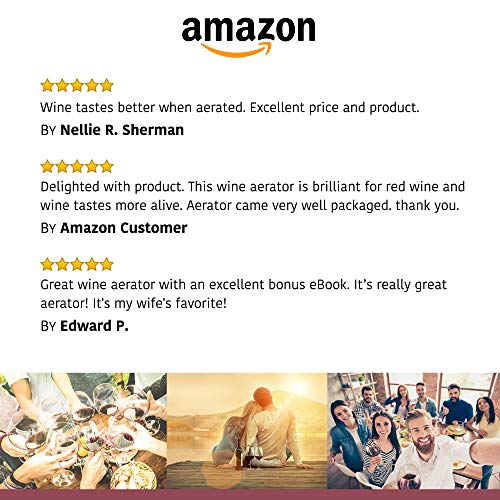 Wine Aerator - Luxury 2018 Aerator Wine Pourer - Wine Aerator Pourer - Wine Pourer - Wine Spout - Red White In Bottle Wine Aerator Kit - Slow Mini Wine Decanter Diffuser Aerator - eBook Wine Guide - Thumbnail 4