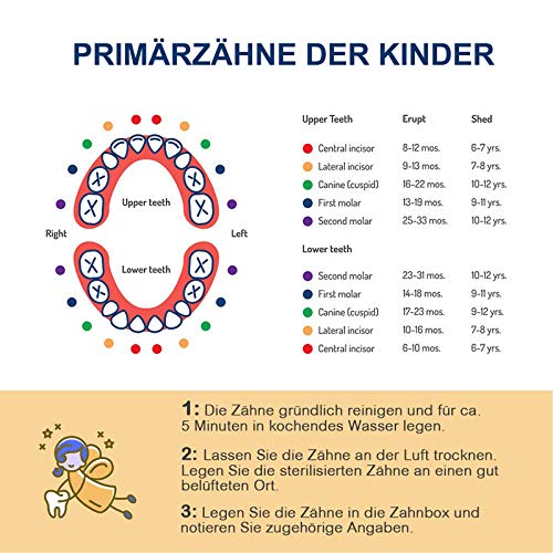 Zahnbox - Holz Kinder Andenken Organizer für Baby Milchzähne, Persönlichkeit Baby Zähne Box Zahnschoner Design für Kinder Laubzähne Sammlung (Boy)
