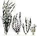 Marineland Multi-Pack Assorted Plastic Plants A3, 4, Tall (ML90542)
