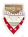 Ziggy Baby Bandana Bibs for Teething Drool, 2 Pack 