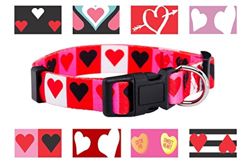 Native Pup Valentine’s Day Heart Dog Collar (Medium, Boxed Hearts)