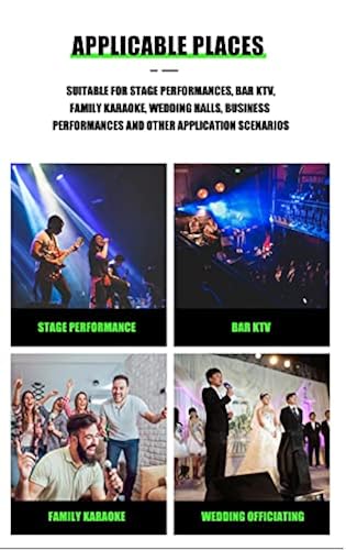 Mixer Audio Professionale Weymic B140 - 14 Canali, Con USB, Bluetooth, Effetti DSP, Per DJ, Karaoke E Registrazione