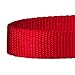 Blueberry Pet 6 Colors Better Basic Dog Collar, Rouge Red, X-Small, Neck 7.5