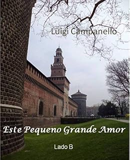 Livro Este pequeno grande amor - Lado B