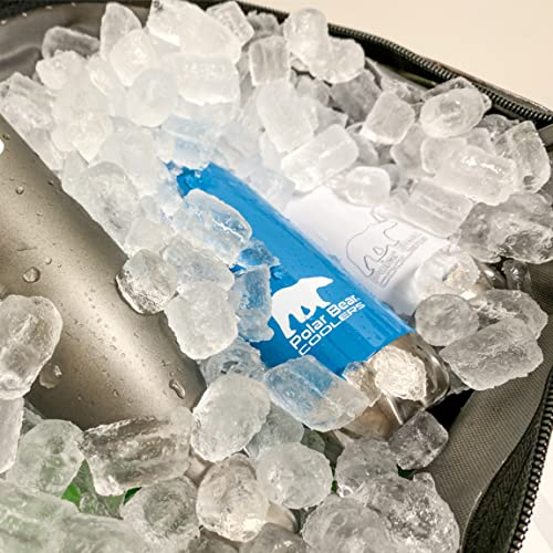 Polar Bear Coolers 12 Pack Original Soft Cooler Navy Pricepulse