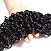 9A Brazilian Virgin Curly Wave Human Hair 3 Bundles with Lace Closure Free Part 100% Unprocessed Brazilian Jerry Curly Hair Weave Bundles with 4x4 Lace Closure Natural Black Color (10