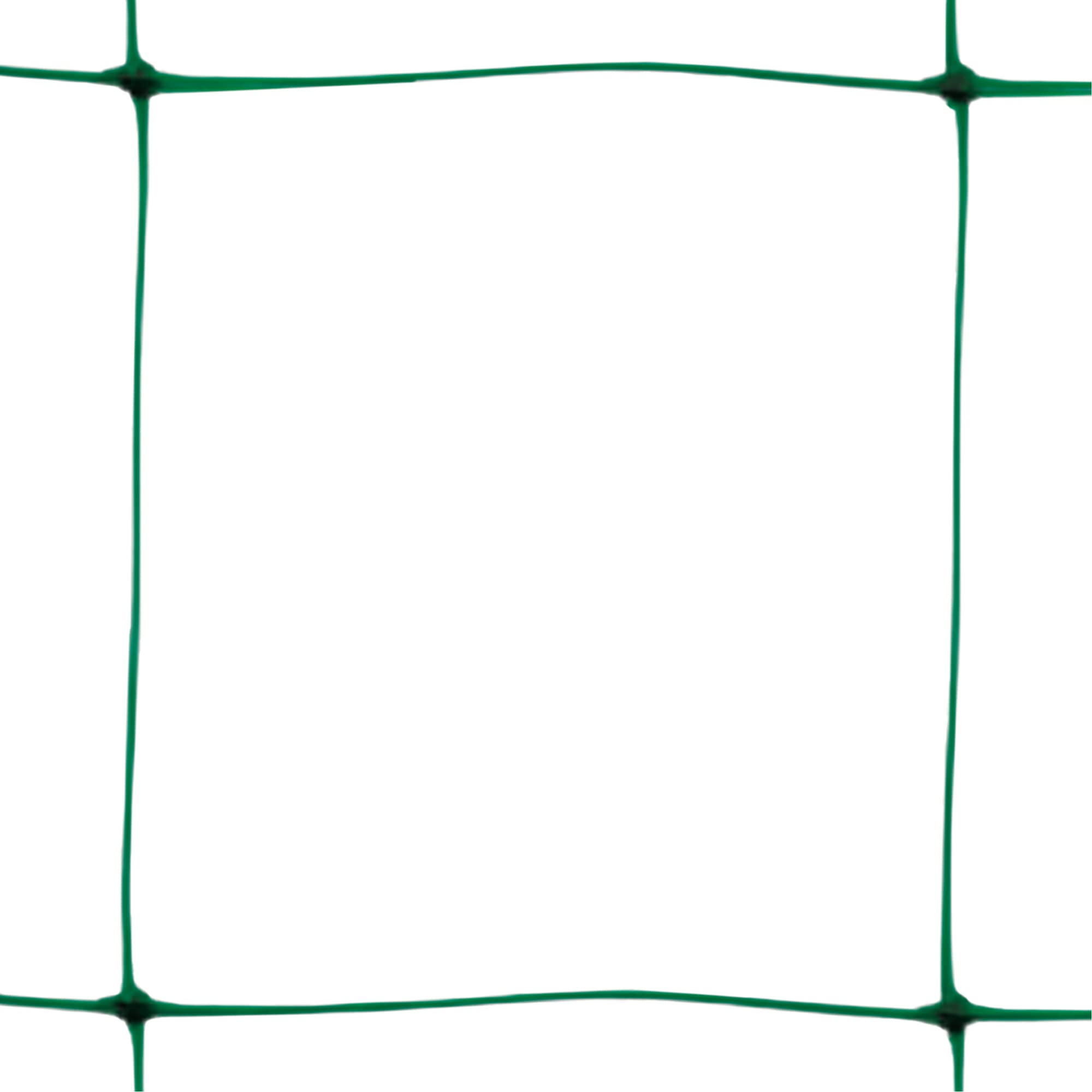 tenax Flora 2 x 20 m Green, Climbing Net, Vegetables and Plant Support, Net Pack