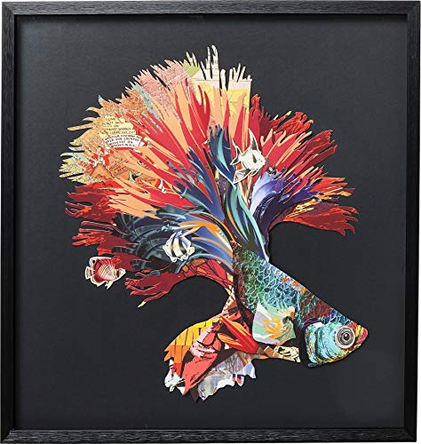 Kare Design Bild Frame Art Betta Fish Colore Right, Quadratisches Bild mit Bilderrahmen in der Farbe Schwarz, Fisch…