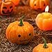 ShellKingdom Artificial Mini Pumpkin for Decoration, Fall Pumpkin for Home/Wedding Thanksgiving/Halloween/Party Decoration 12 PCS (Orange)