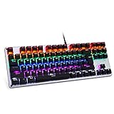 LINGBAO JIGUANSHI Mechanical Keyboard 87 Keys Computer Wired USB Backlit Metal Panels Gaming Keyboard (Mixed Light, Silver Bezel, Black Cap, Black Switches)