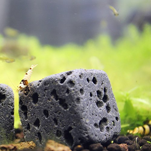 6 Eco Bricks - Water Clarifying Aquarium Decor Stones - 100% Natural Lava Rocks