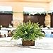 Nahuaa 4Pcs Fake Boston Fern Plants Artificial Evergreen Shrubs Faux Plastic Greenery Bushes Bundles Indoor Outdoor Hanging Basket Filler Home Kitchen Table Centerpieces Arrangement Spring Decorations