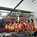TIHOOD 2PCS Stainless Steel Chicken Wings and Leg Smocking Hanger Meat Hooks Bacon Shop Hook BBQ Grill Hanger Cooking Tools Accessories