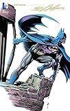Batman: Illustrated by Neal Adams Vol. 3 (Batman (1940-2011)) by NEAL ADAMS, VARIOUS