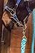 Intrepid International Horse Tack - Heavy Duty Cotton Rope Lead Ropes for Horses, with Durable Brass Trigger Snap, Attaches to Halter or Harness, Soft and Comfortable Grip - 10 Feet