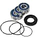Caltric REAR WHEEL BALL BEARINGS & SEALS KIT Fits YAMAHA XVS1100 XVS-1100 V-STAR 1100 CLASSIC 2000-2009