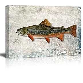 Green Brook Trout - Canvas Art