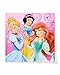 American Greetings Disney Princess Lunch Napkins, 16 Count, Party Supplies Novelty