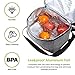 Lifewit Insulated Thermal Lunch Bag Box Tote Coolers Soft Side Cooler Bag For Travel For Men 12L,Grey