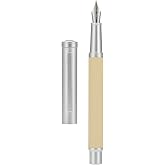 Silver Birch Forest Aluminum Fountain Pen Extra Fine Nib with Converter and Metal Case Set By Asvine