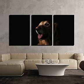 3 Piece Canvas Wall Art - Portrait of a Cute Dog in The Dark - Modern Home Art Stretched and Framed Ready to Hang - 16"x24"x3 Panels
