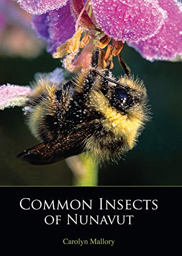[D.o.w.n.l.o.a.d] Common Insects of Nunavut<br />T.X.T