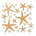 Fun Express Real Starfish Decoration (30 Piece)